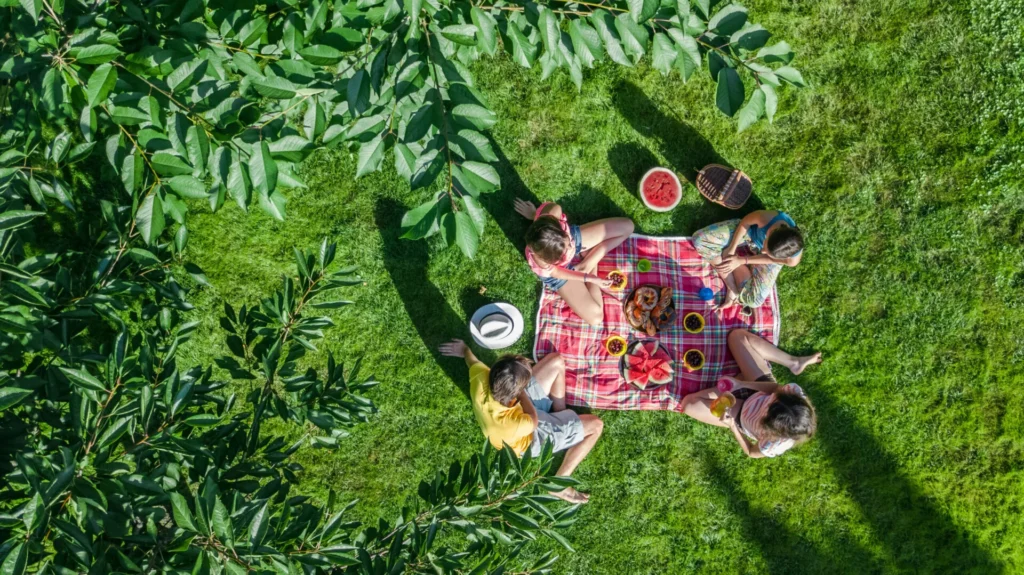 Overhead shot of a couple in a picnic